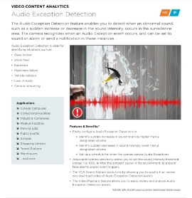 Audio Exception Detection in Palm City,  FL